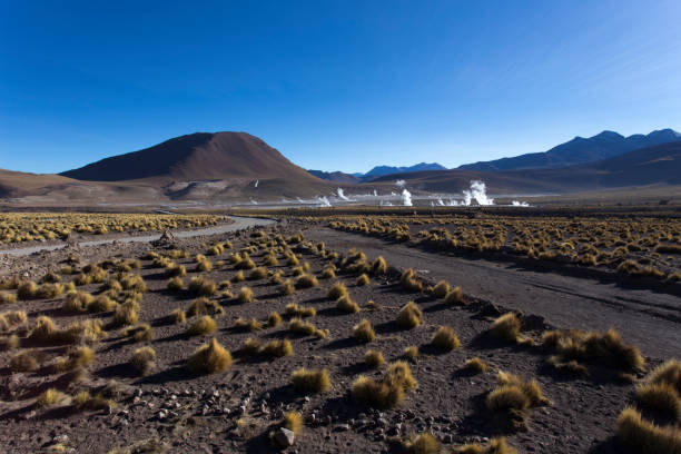 istock Landscape at El Tatio, geyser view 1289558577