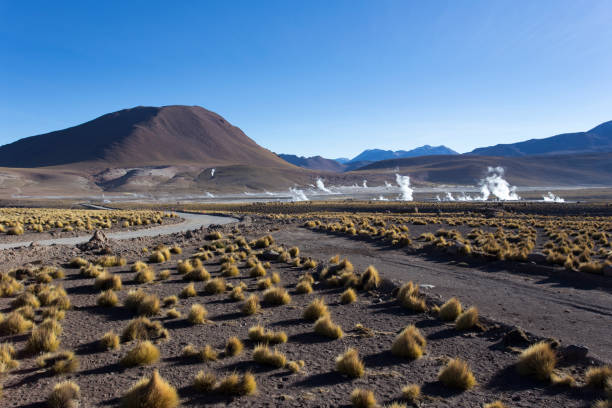 istock Landscape at El Tatio, geyser view 1289558789