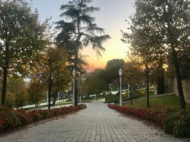 istock sunset in the park in the autumn 1289558819