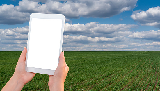 Hands with digital tablet on a background of agricultural field. White screen, you can add your content here