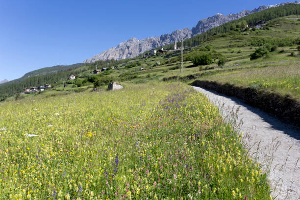 istock Italian mountain view in a sunny summer day 1289559894