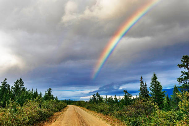 Dirt road through the forest and rainbow in the sky on a cloudy summer day stock photo