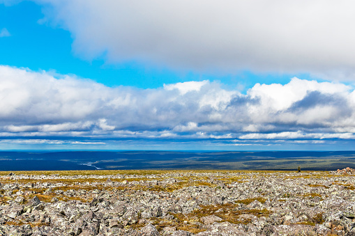View of the rocky tundra and taiga in the distance in the Subpolar Urals on a summer day