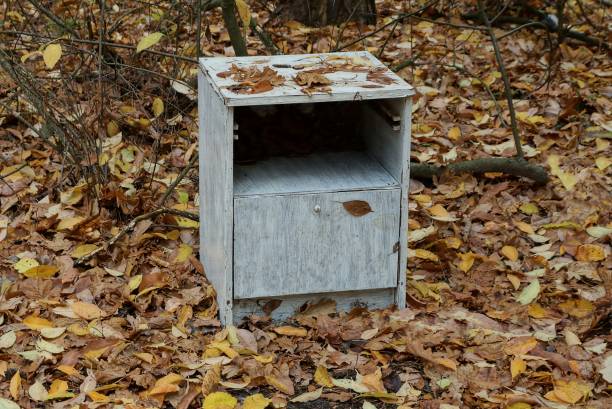 one gray old wooden bedside table stands outdoors in an autumn park with brown dry fallen leaves