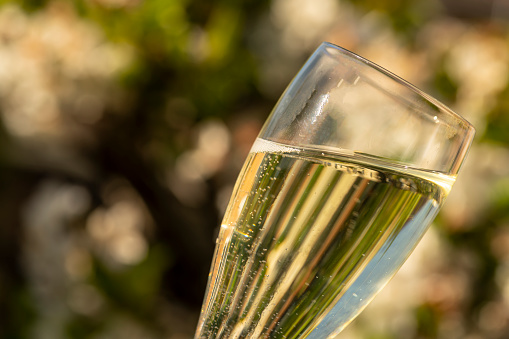 Single champagne flute at an English garden party in Summer. It is being held up with a defocused English domestic garden in the background.