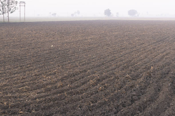 istock prepared agricultural field ready for sowing 1289563256