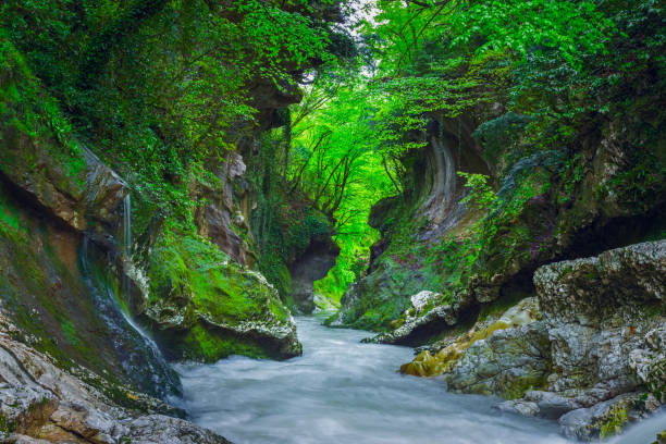istock Creek in Gachedili canyon, Georgia, wild place 1289565191