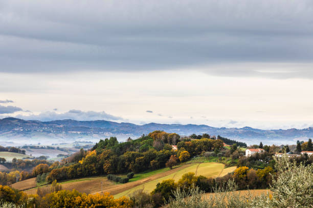 Panoramic view of the Marche hills with agricultural fields and olive trees, Italy