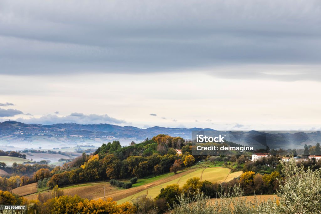 Panoramic view of the Marche hills Panoramic view of the Marche hills with agricultural fields and olive trees, Italy Italy Stock Photo