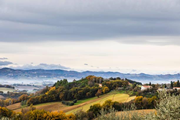 Panoramic view of the Marche hills Panoramic view of the Marche hills with agricultural fields and olive trees, Italy marche italy stock pictures, royalty-free photos & images