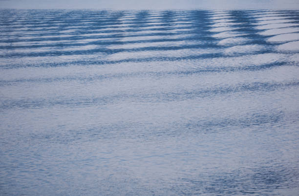 istock natural background - waves and ripples on the water surface 1289570049