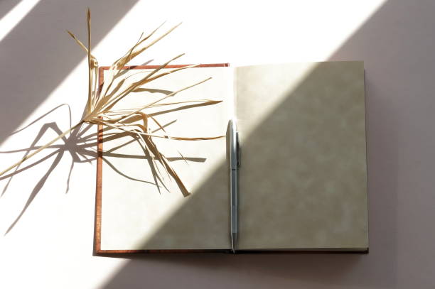 istock Open book mock up, pen  and palm leaf shadows on beige background. copy space 1289570933
