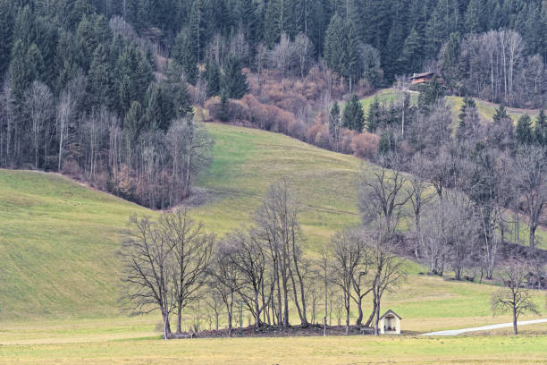 istock Panoramic view of forested hill in Ziller Valley, Austria 1289573439