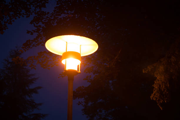 istock Street lantern glowing yellow bright light in the evening under the tree against dark background 1289574330