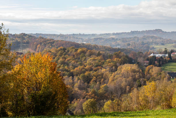 istock Trees with golden autumn foliage in sunny  day. 1289578039