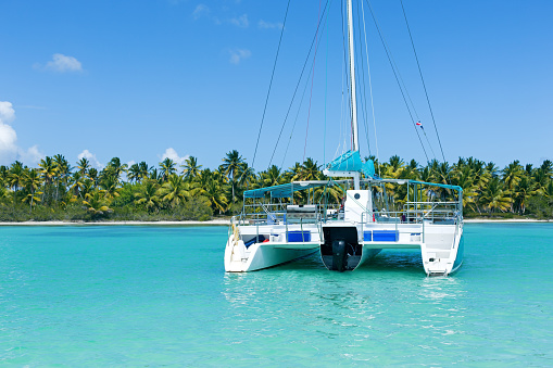 Catamaran sailing in Caribbean sea with palm beach background, nobody