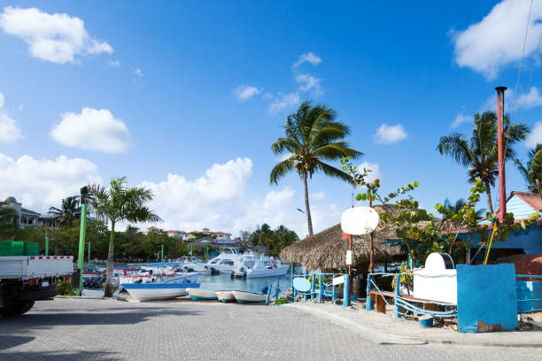 istock Caribbean town with coast and speedboats 1289578326