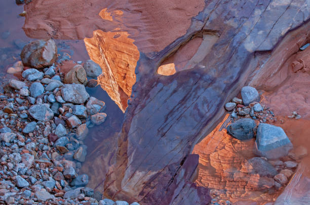 Landscape of a slot canyon with pools of standing water and reflections of rock outcroppings, Valley of Fire State Park, Nevada, USA