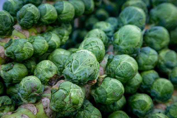 Sprouts on the stalk for sale on a farmers market stall