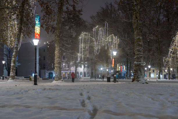 люди ночью в заснеженном городском парке на рождество - ljubljana december winter christmas стоковые фото и изображения