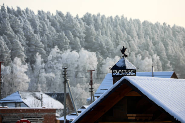 The chimney of the house is decorated with a beautiful metal weather vane in the shape of a bird. Close-up of a  wooden house , the roof is covered with snow, in the background a winter forest and a small village .