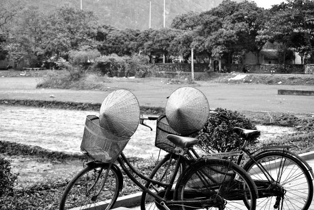 Wide Load on Motorcycles in Phnom Penh, Cambodia