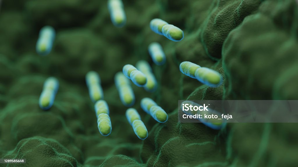 abs Lactobacillus Bulgaricus Bacteria abs Lactobacillus Bulgaricus Bacteria - 3d rendered microbiology image. Medical research, health-care concept. Probiotic Stock Photo