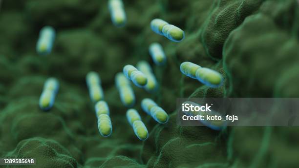 Abs Lactobacillus Bulgaricus Bacteria Stock Photo - Download Image Now - Probiotic, Sepsis, Intestine