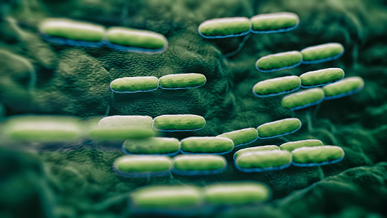 abs Lactobacillus Bulgaricus Bacteria - 3d rendered microbiology image. Medical research, health-care concept.