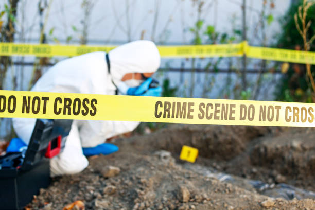Crime scene investigation. Forensic science specialist working on human remains identification. Forensic science specialist photographing human remains serial killings photos stock pictures, royalty-free photos & images