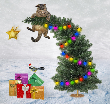 A beige cat is on the top of the Christmas tree near gift boxes on the snow.