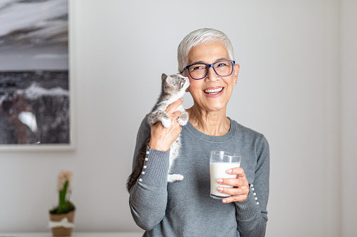 Beautiful mature woman with grey hair and glasses holding full glass of milk. She holding sweet kitten and having fun. Smiling woman in casual clothes in her golden age. Healthy concept.