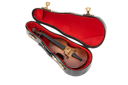 A small violin and case - white background