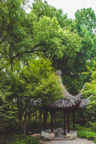 Traditional Chinese pavilion among trees on Tiger Hill (Huqiu), Suzhou, Jiangsu, China Traditional Chinese pavilion among trees on Tiger Hill (Huqiu) in Suzhou, Jiangsu, China tiger hill stock pictures, royalty-free photos & images