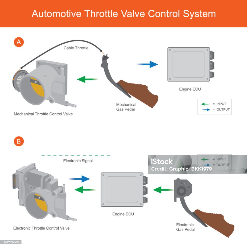 Accelerator Throttle Automotive Throttle Valve Control System Illustration For Explain ...