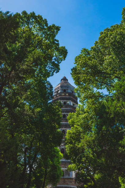 Tiger Hill Pagoda (Pagoda of Yunyan Temple) behind trees on Tiger Hill (Huqiu) in Suzhou, Jiangsu, China View of Tiger Hill Pagoda (Pagoda of Yunyan Temple) behind trees on Tiger Hill (Huqiu) in Suzhou, Jiangsu, China tiger hill stock pictures, royalty-free photos & images