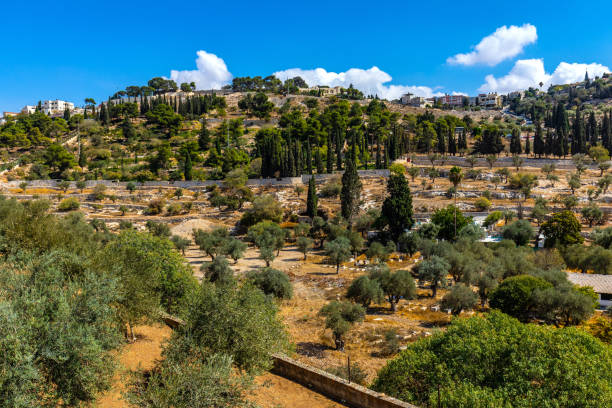 이스라엘 예루살렘 근처 올리브 산에 올슨 하이드 메모리얼 가든의 파노라마 보기 - mount of olives 뉴스 사진 이미지