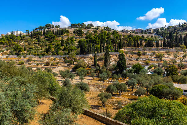 Panoramic view of Orson Hyde Memorial Garden on Mount of Olives near Jerusalem, Israel stock photo