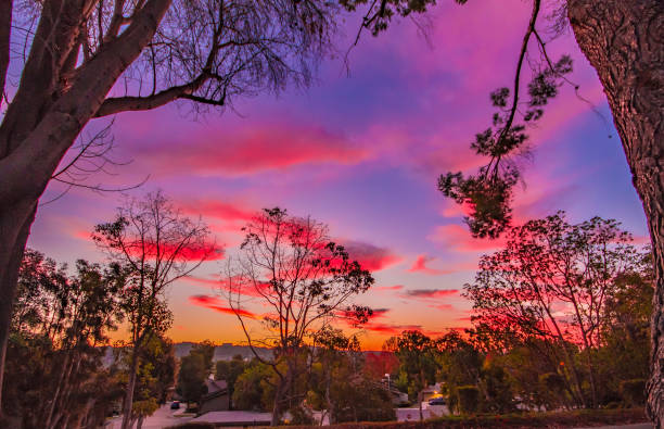 istock Californian winter sky. 1289594376