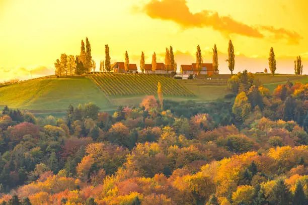 Photo of Autumn landscape with South Styria vineyards,known as Austrian Tuscany,a charming region on the border between Austria and Slovenia with rolling hills,picturesque villages and wine taverns,at sunrise
