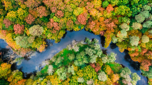 istock Top down view of small river and colorful autumn forest 1289598320