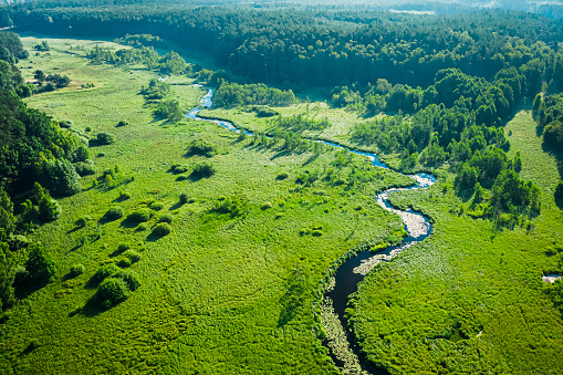 Aerial view of small river and green swamps at sunrise, Poland