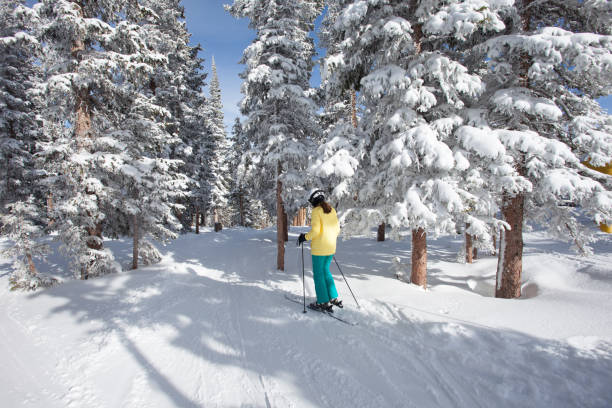istock Girl is skiing 1289602457