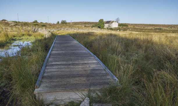istock On the paths of Compostela 1289605718
