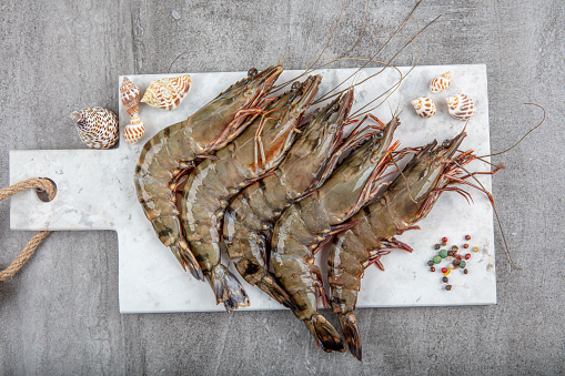 Raw whole fresh uncooked prawns shrimps on marble plate, stone background. Top view with copy space.