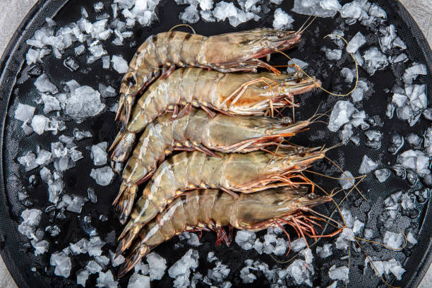 rohe ganze frische ungekochte garnelen garnelen auf marmorplatte, stein hintergrund. top-ansicht mit kopierbereich. - prepared shrimp prawn large grilled stock-fotos und bilder