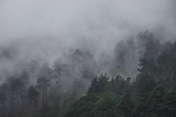 istock A foggy mourning in Manteigas, Serra da Estrela. 1289615106