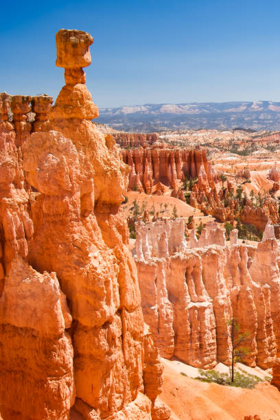 hoodoos nel parco nazionale del bryce canyon, cielo azzurro limpido durante la primavera - bryce canyon national park foto e immagini stock