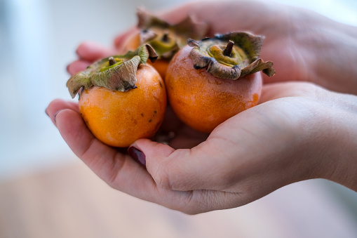Three delicious ripe persimmon fruits  ( Turkish; Cennet Elması, Cennet Hurması or Trabzon Hurması ) in woman hands with blurred background
