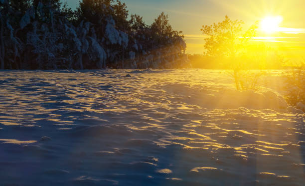 istock winter snowbound forest glade at the sunset 1289616615